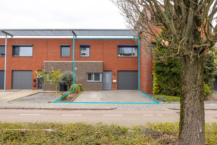 Foto 3 van Helmbloem 7