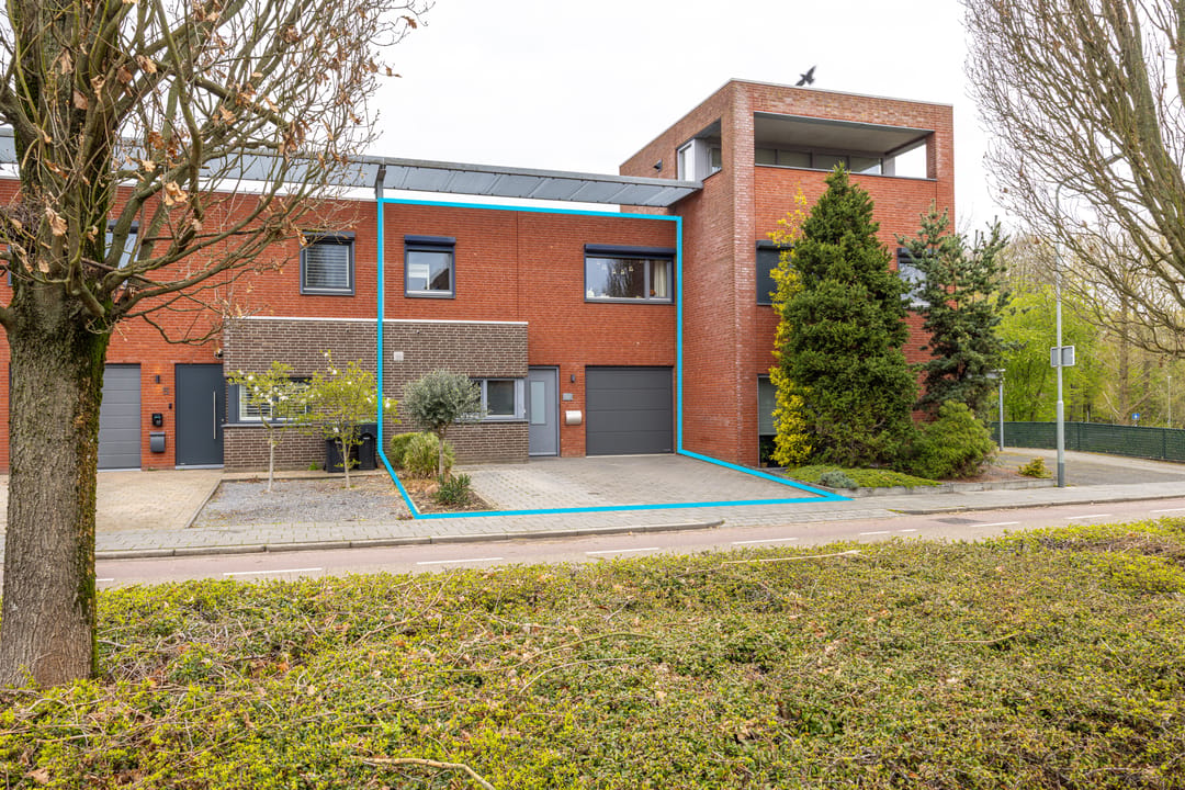 Foto 1 van Helmbloem 7
