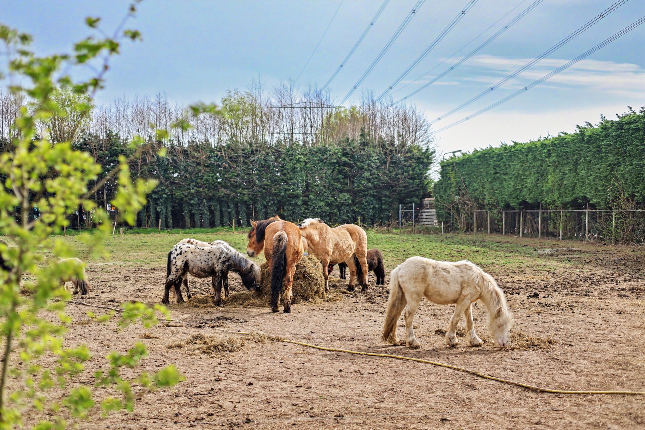 Photo 36 of Blaaksedijk 204