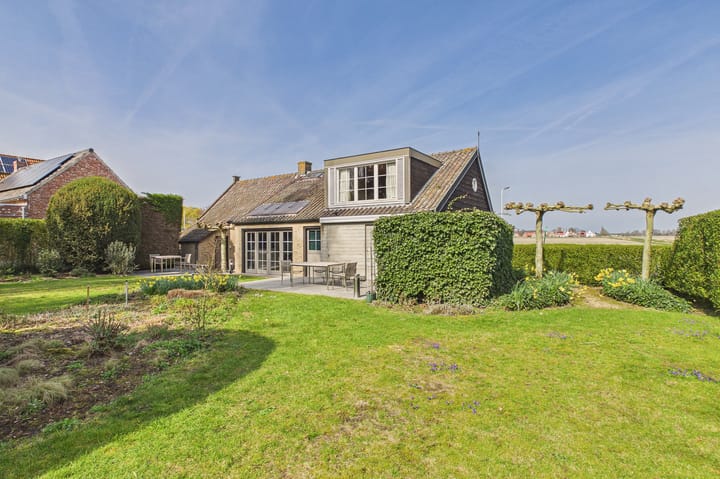 Zeedorp 7 main image