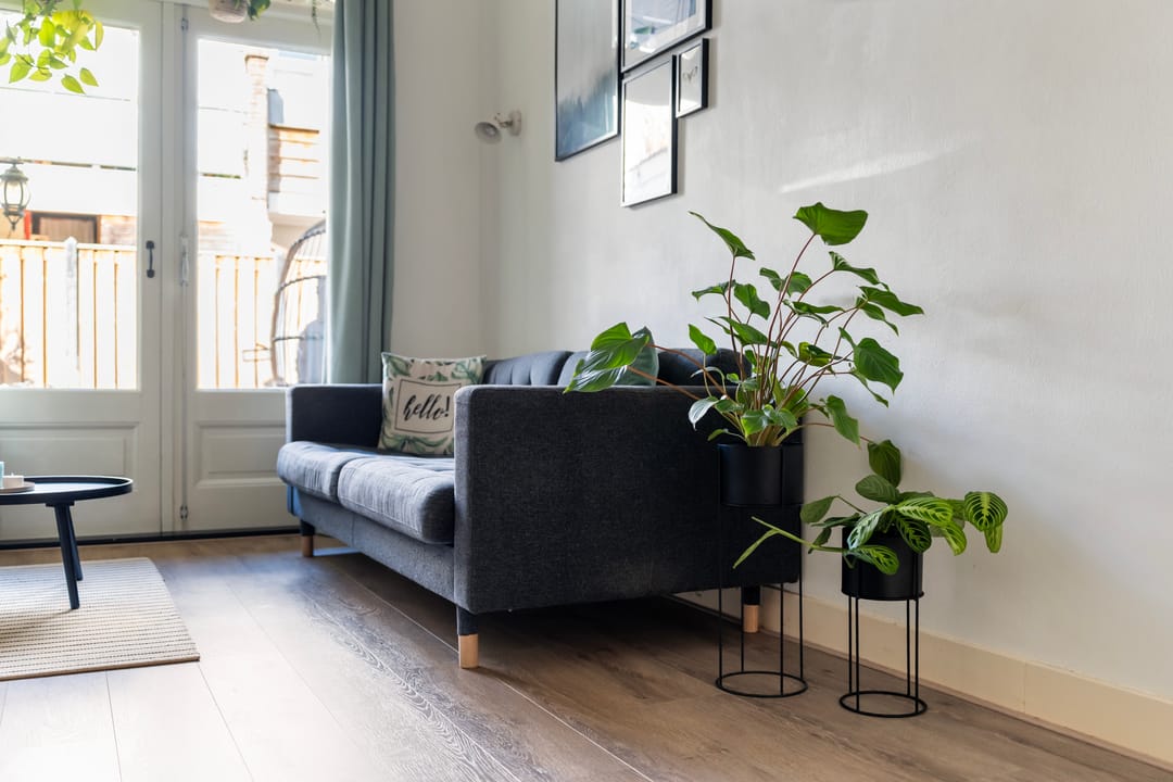 Foto 7 van Vondelstraat 149