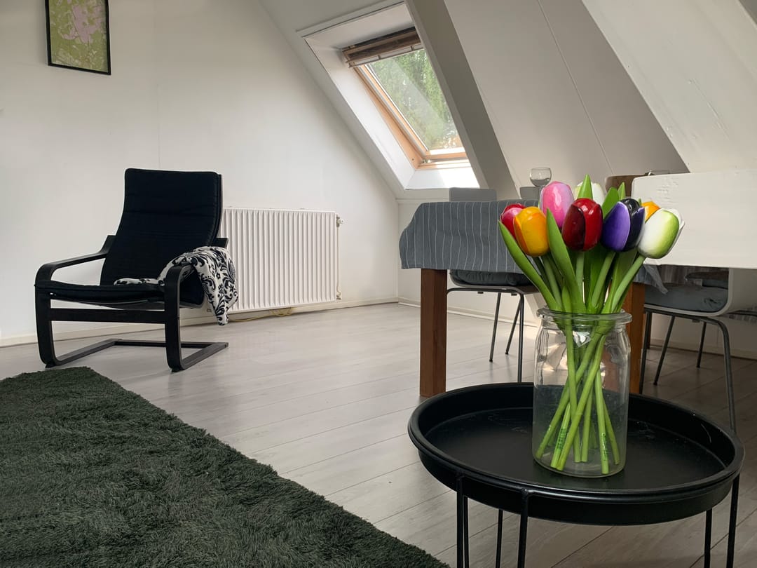 Foto 13 van Hoflaan 15-B