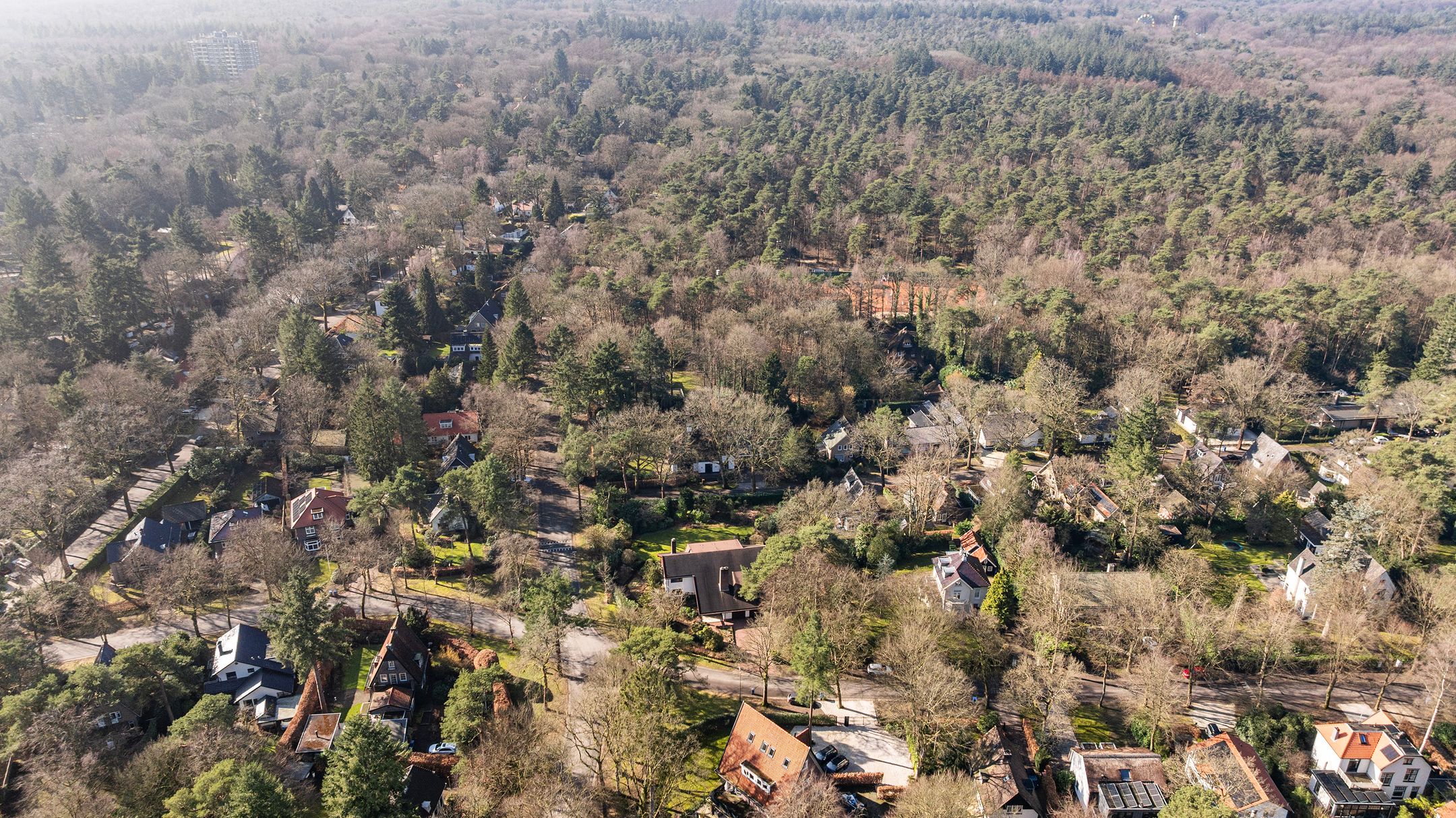 Foto 78 van 2e Beukenlaan 22