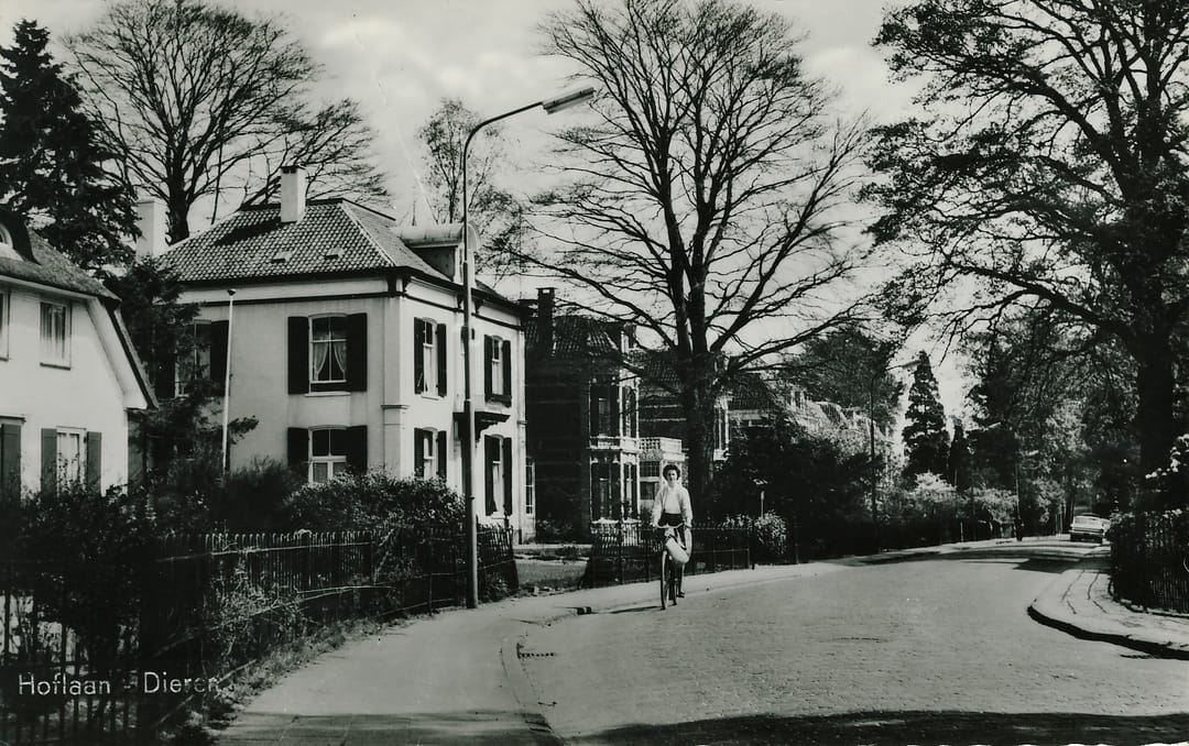 Foto 37 van Hoflaan 15-B