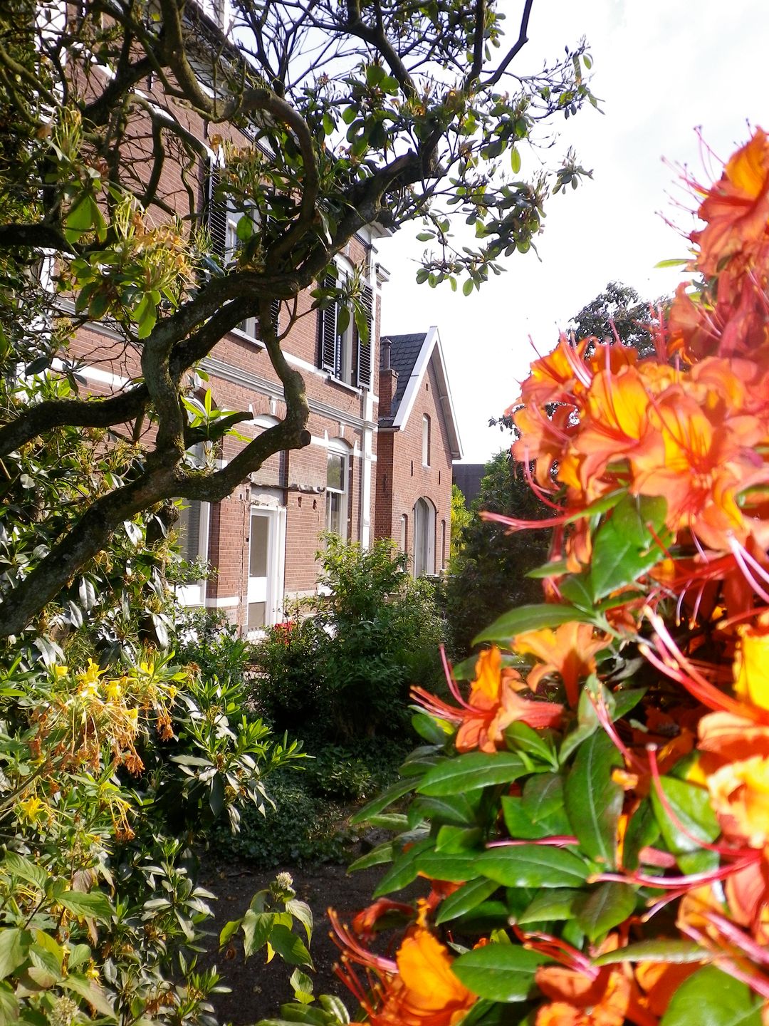 Foto 38 van Hoflaan 15-B