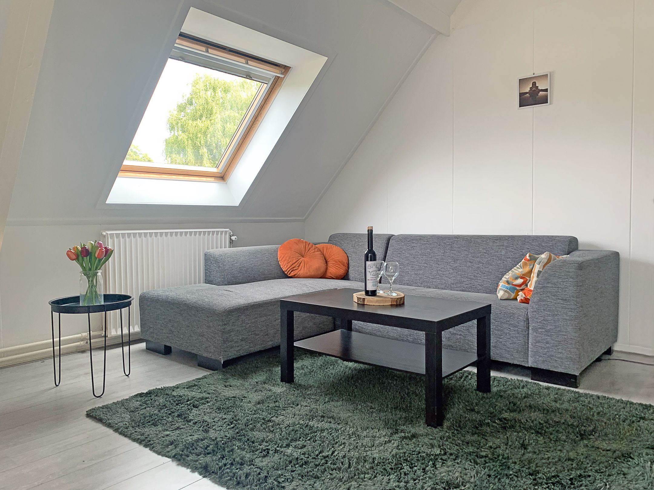 Foto 3 van Hoflaan 15-B