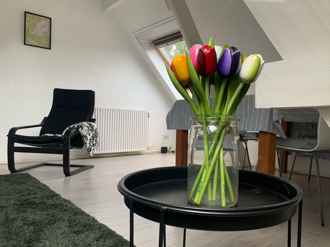 Foto 16 van Hoflaan 15-B