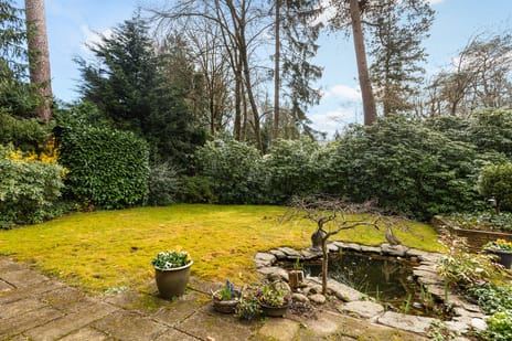 Bosweg 129 tertiary image