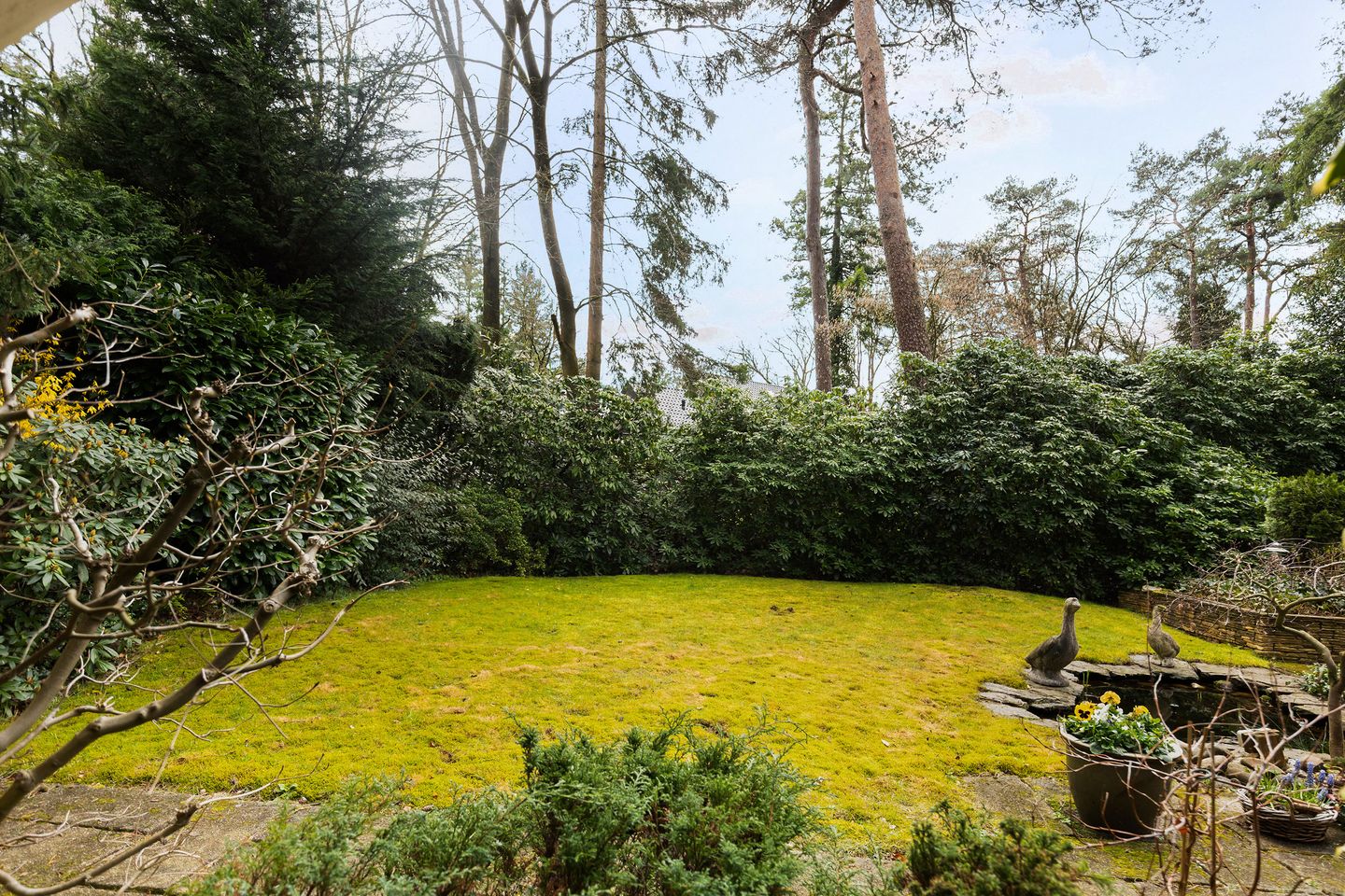 Foto 4 van Bosweg 129