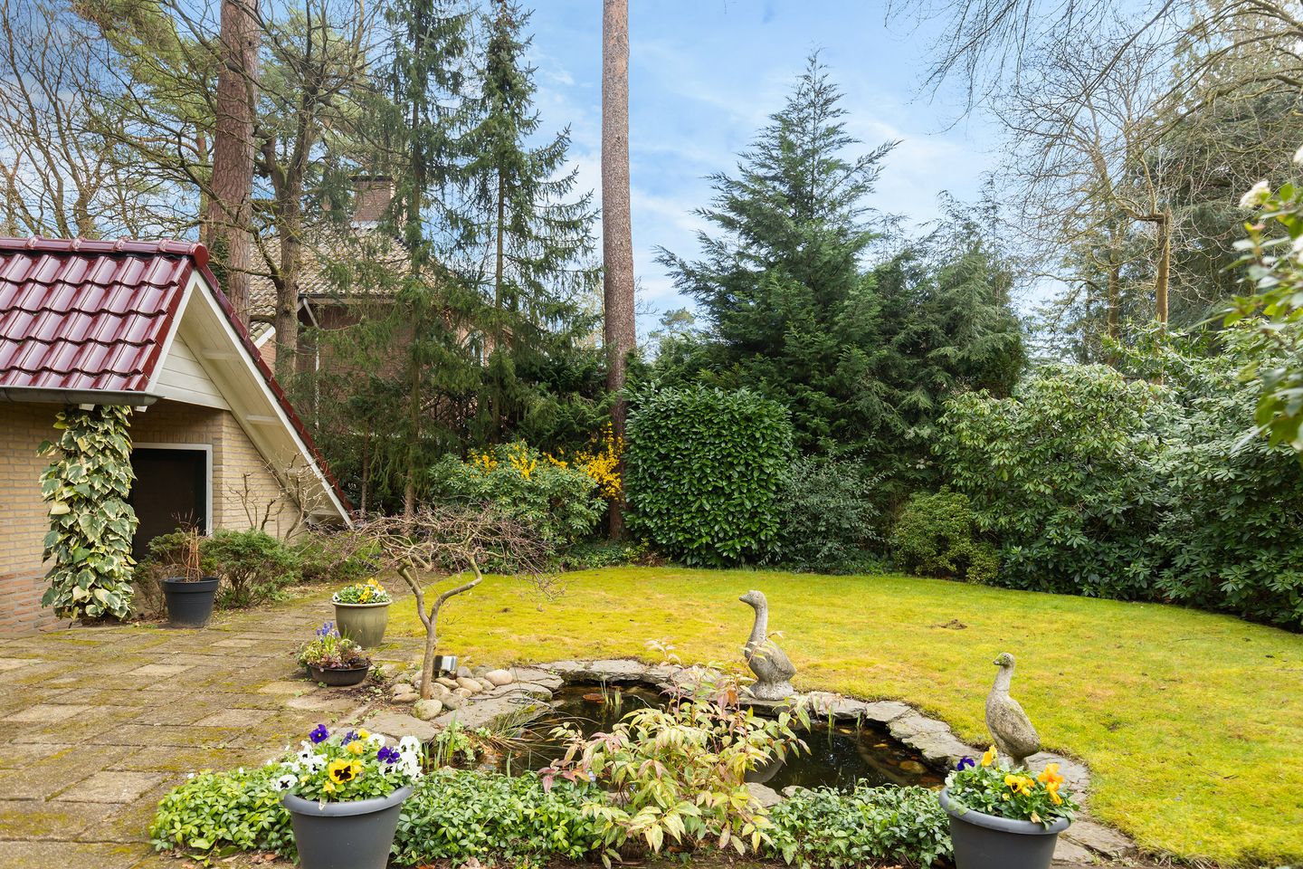 Foto 5 van Bosweg 129