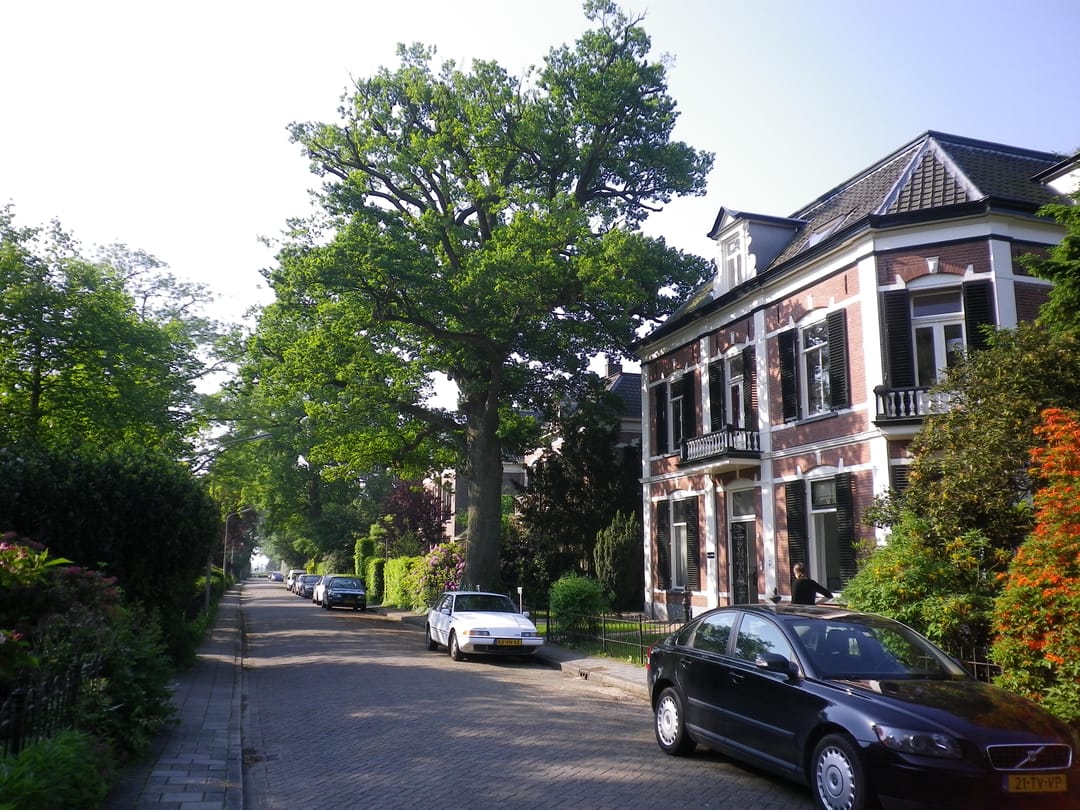 Foto 8 van Hoflaan 15-B