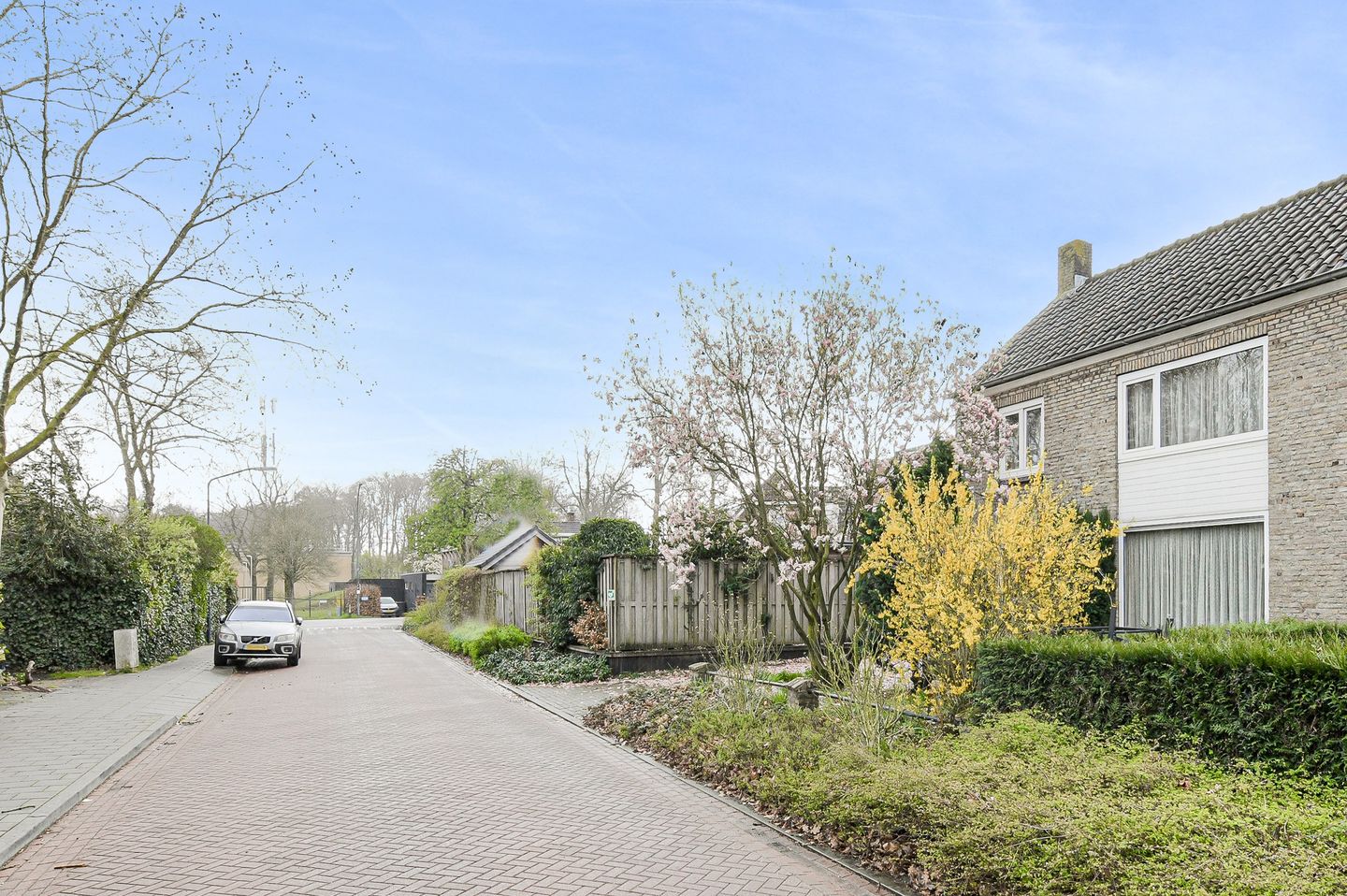 Photo 4 of De Vliert 5