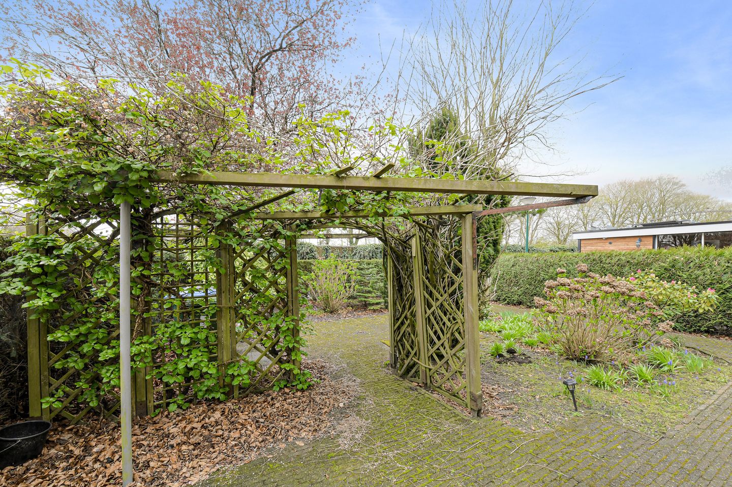 Photo 50 of De Vliert 5