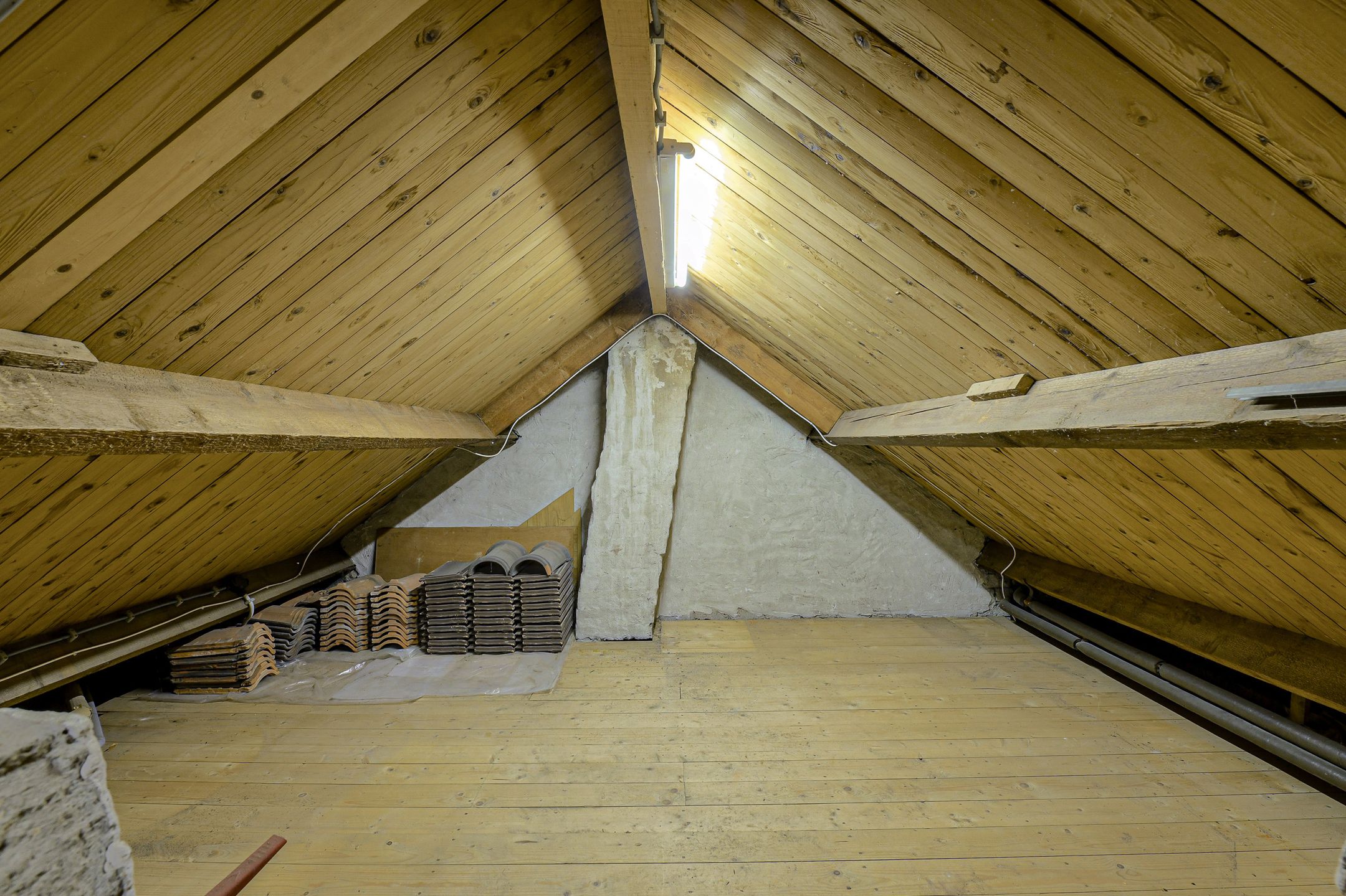 Photo 42 of De Vliert 5