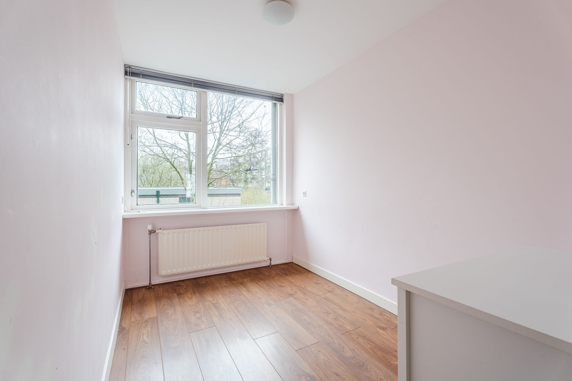 Foto 36 van Paulus Potterlaan 1