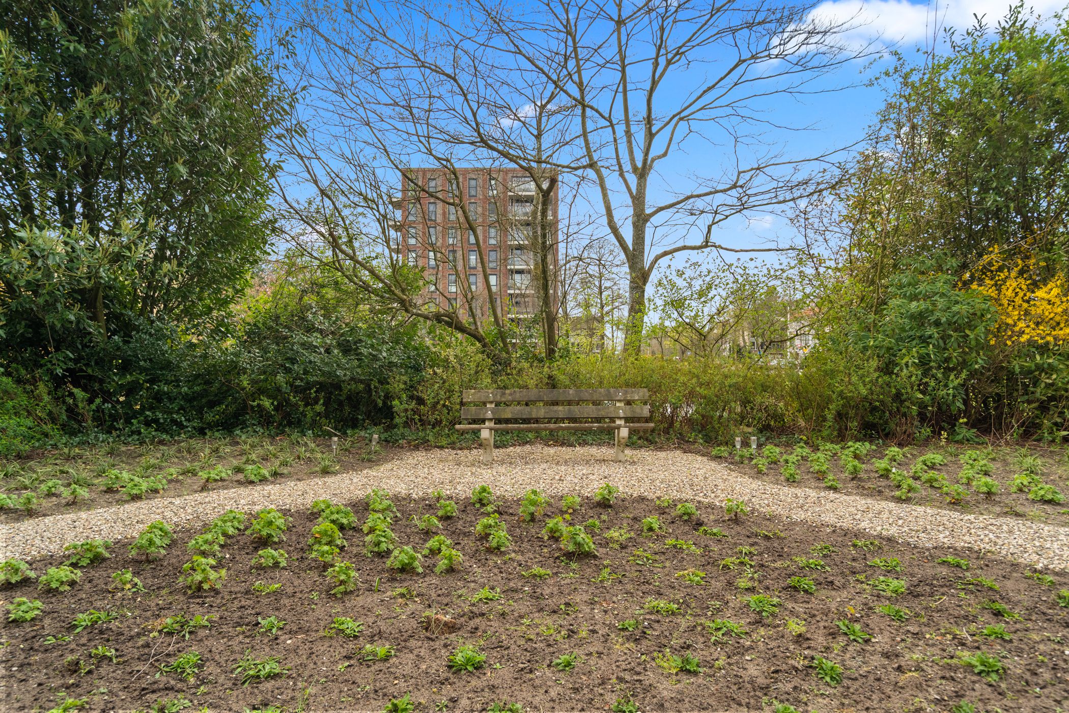 Foto 42 van Ringweg-Randenbroek 80-B