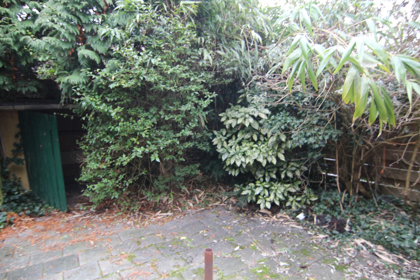 Foto 20 van Platanenlaan 6