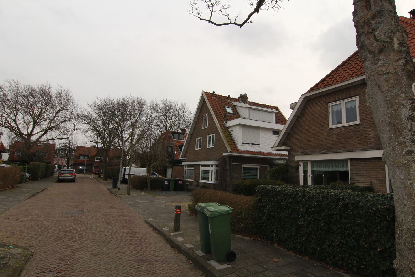 Foto 49 van Platanenlaan 6