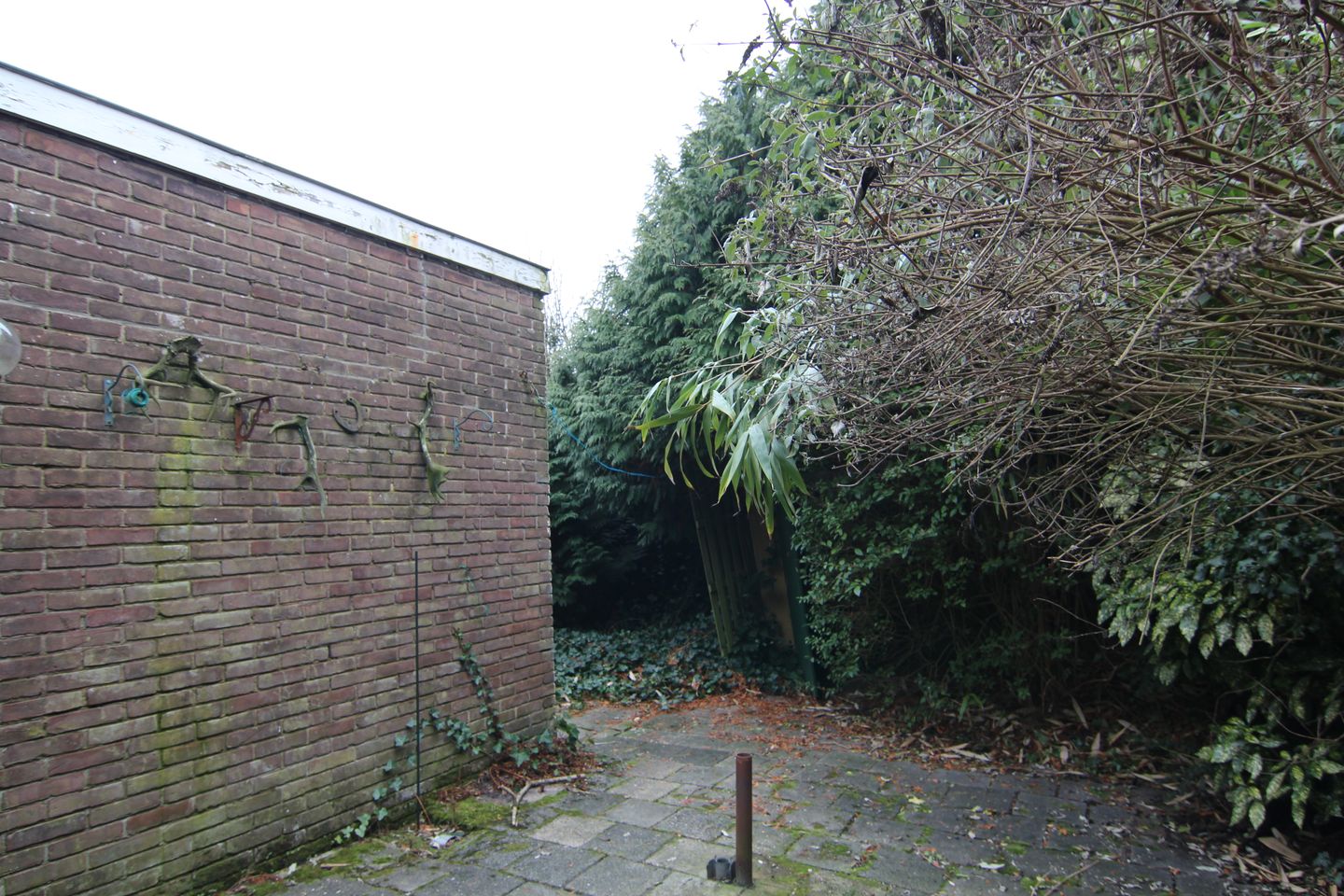 Foto 19 van Platanenlaan 6