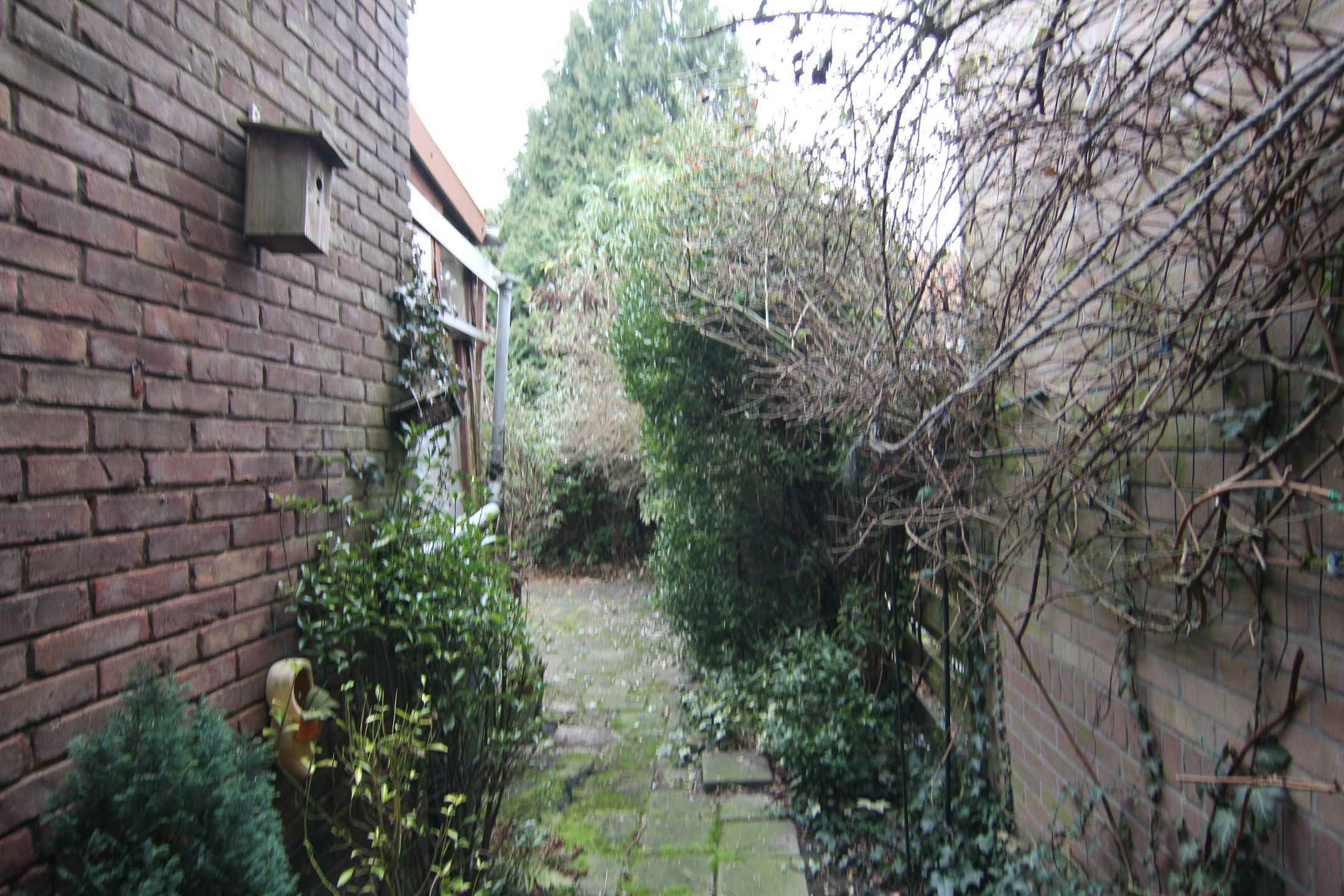 Foto 18 van Platanenlaan 6