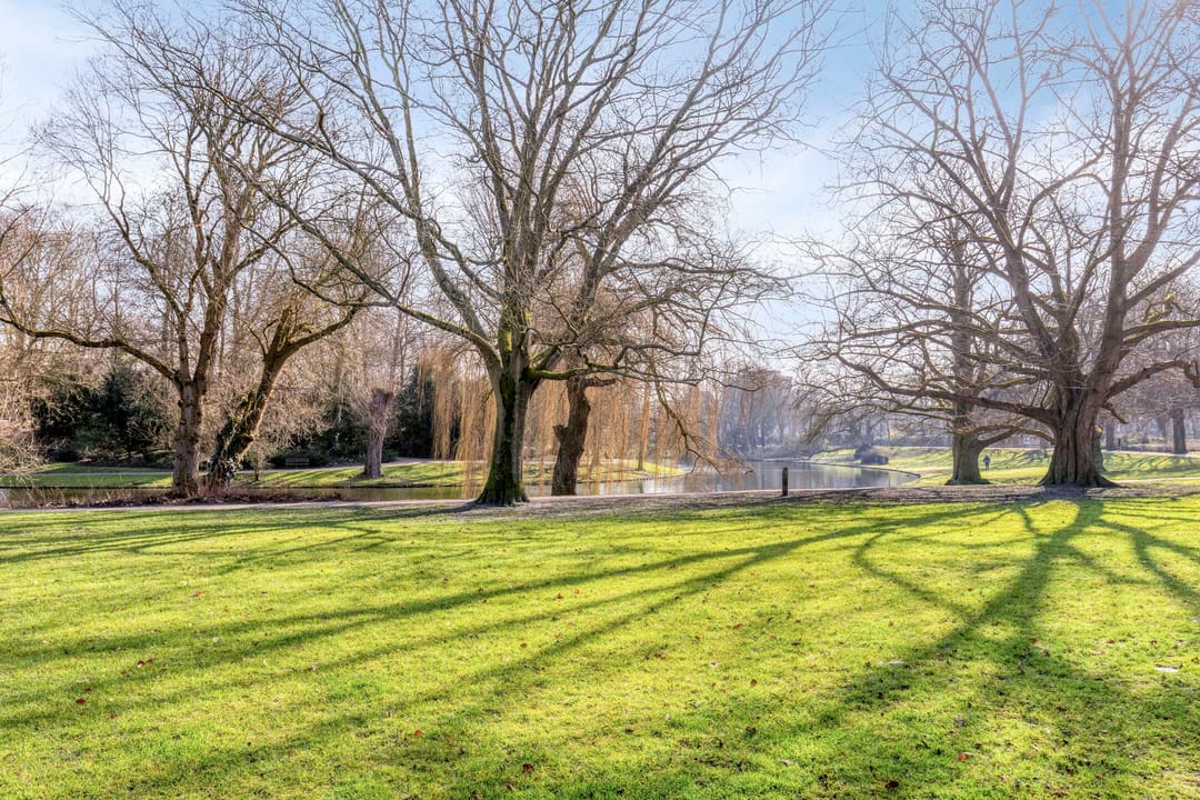 Photo 37 of Ernst Casimirlaan 9-A