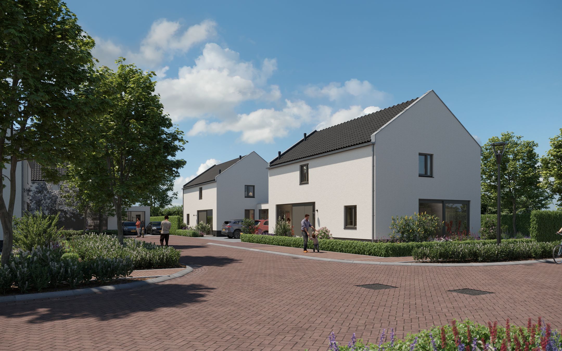 Photo 9 of Lange Bedde 1-D