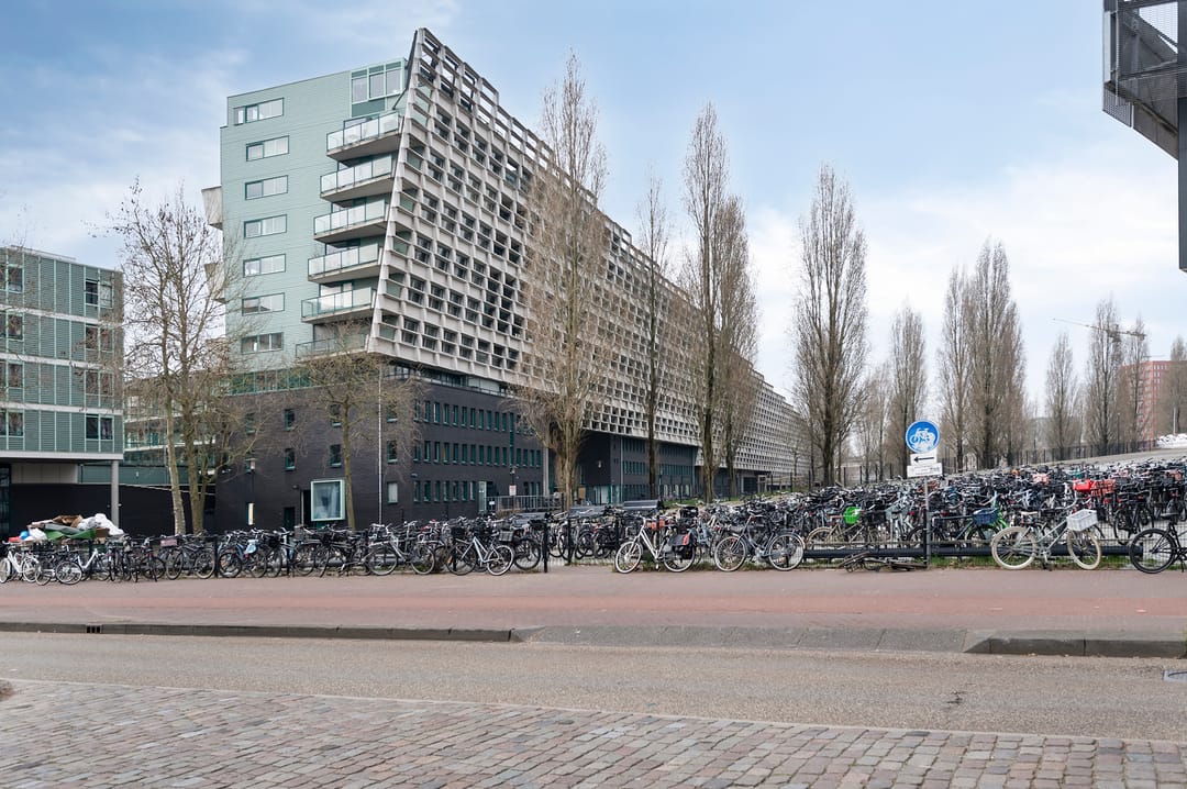 Foto 1 van Borneolaan 271