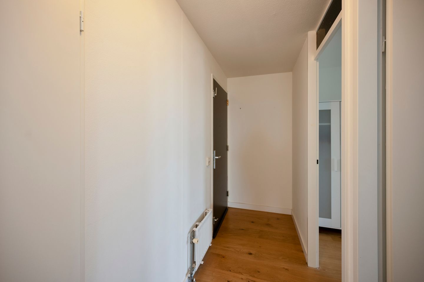 Foto 4 van Borneolaan 271