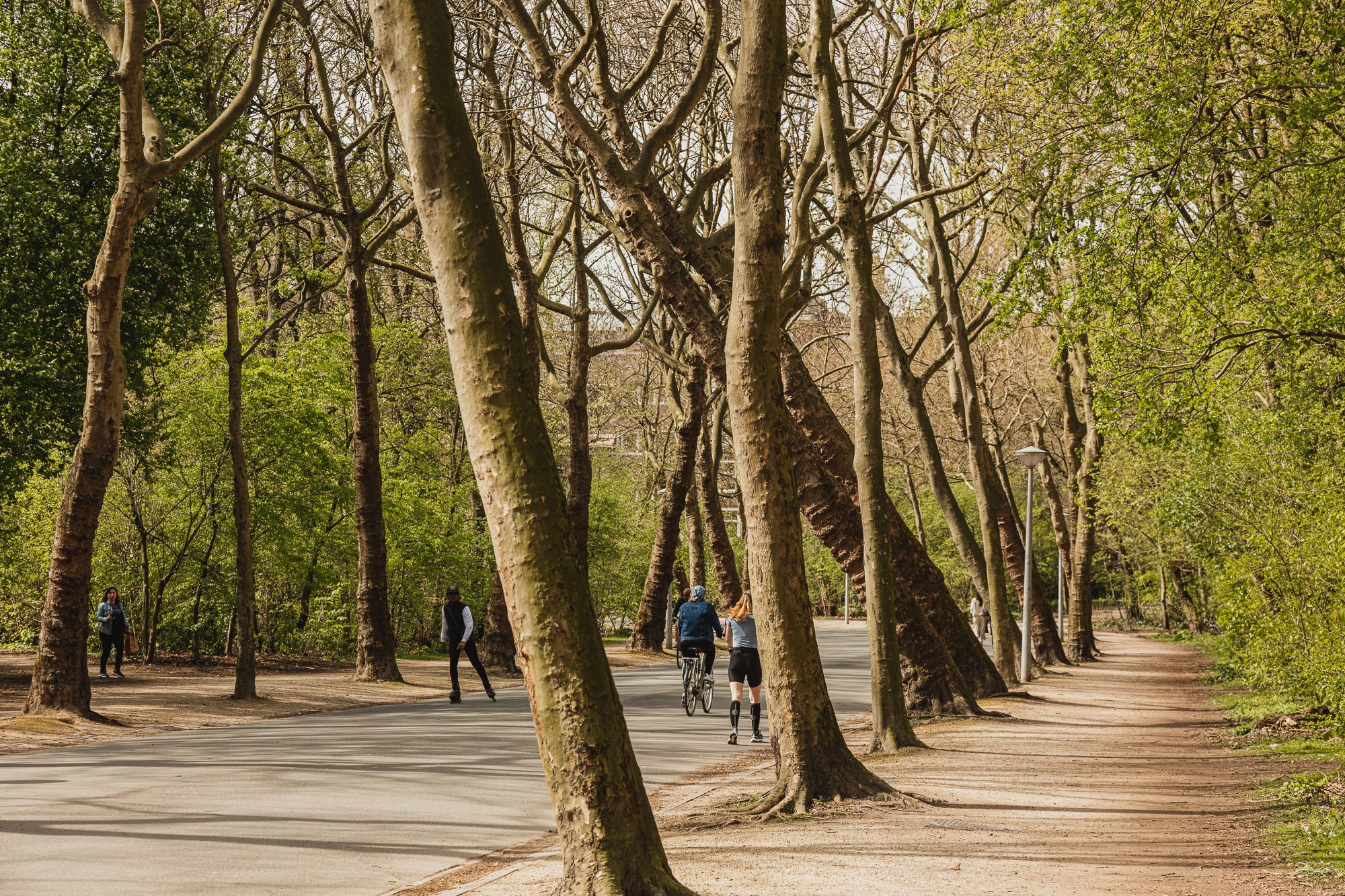 Foto 27 van Albert Neuhuysstraat 14-1