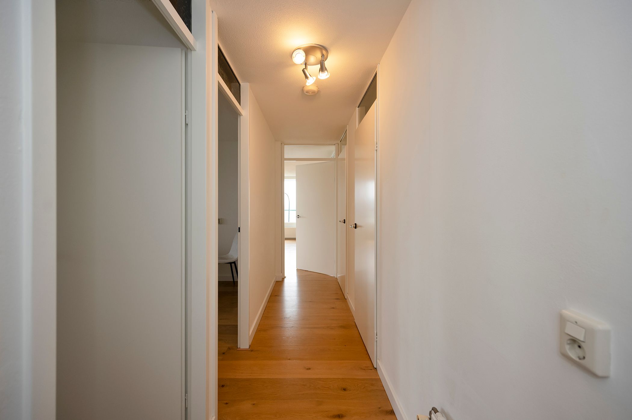 Foto 3 van Borneolaan 271