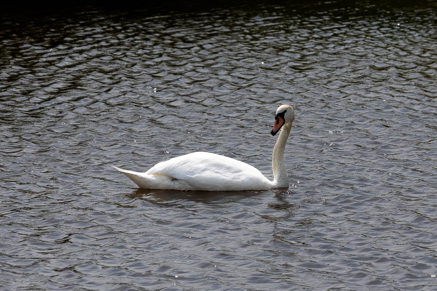 Photo 65 of Broekwegkade 17