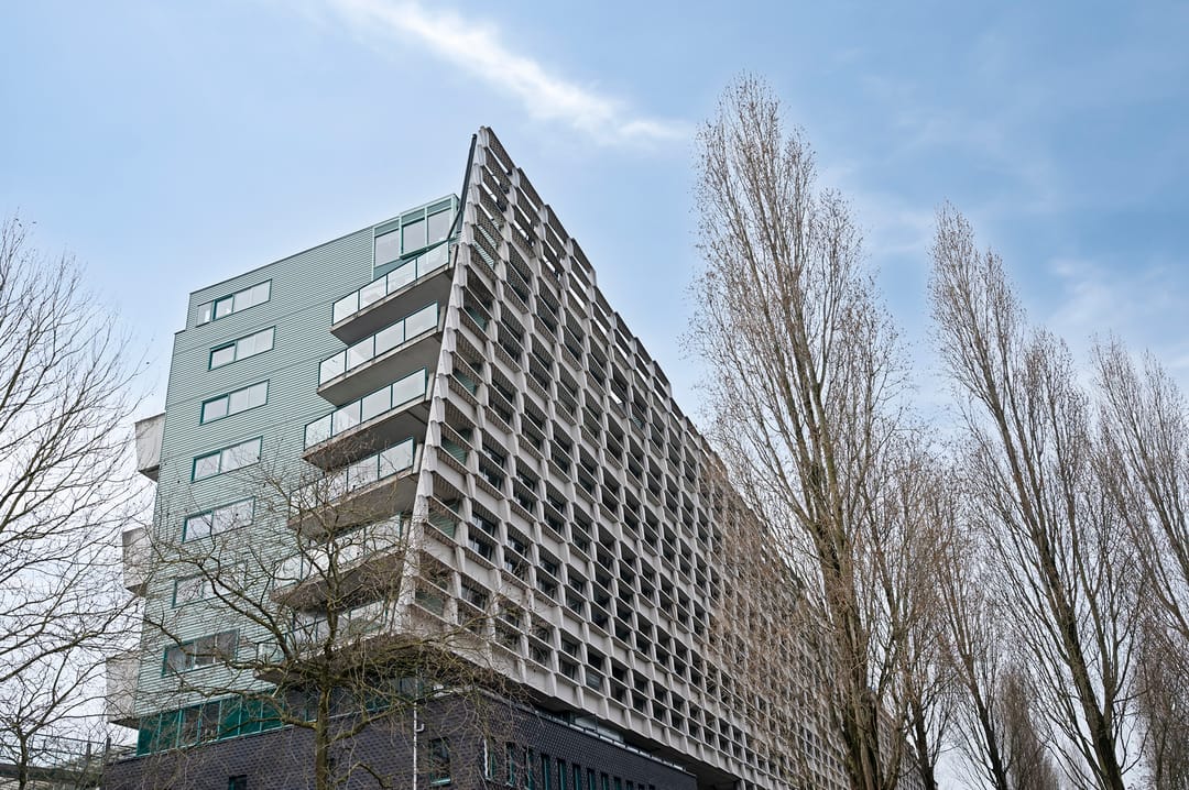 Foto 31 van Borneolaan 271