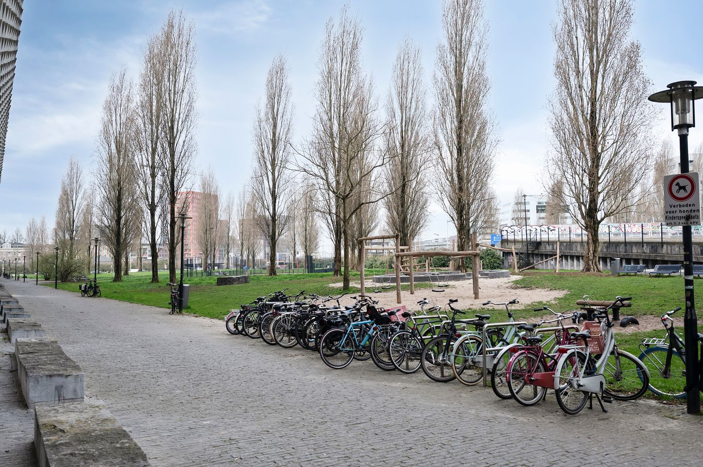 Foto 34 van Borneolaan 271