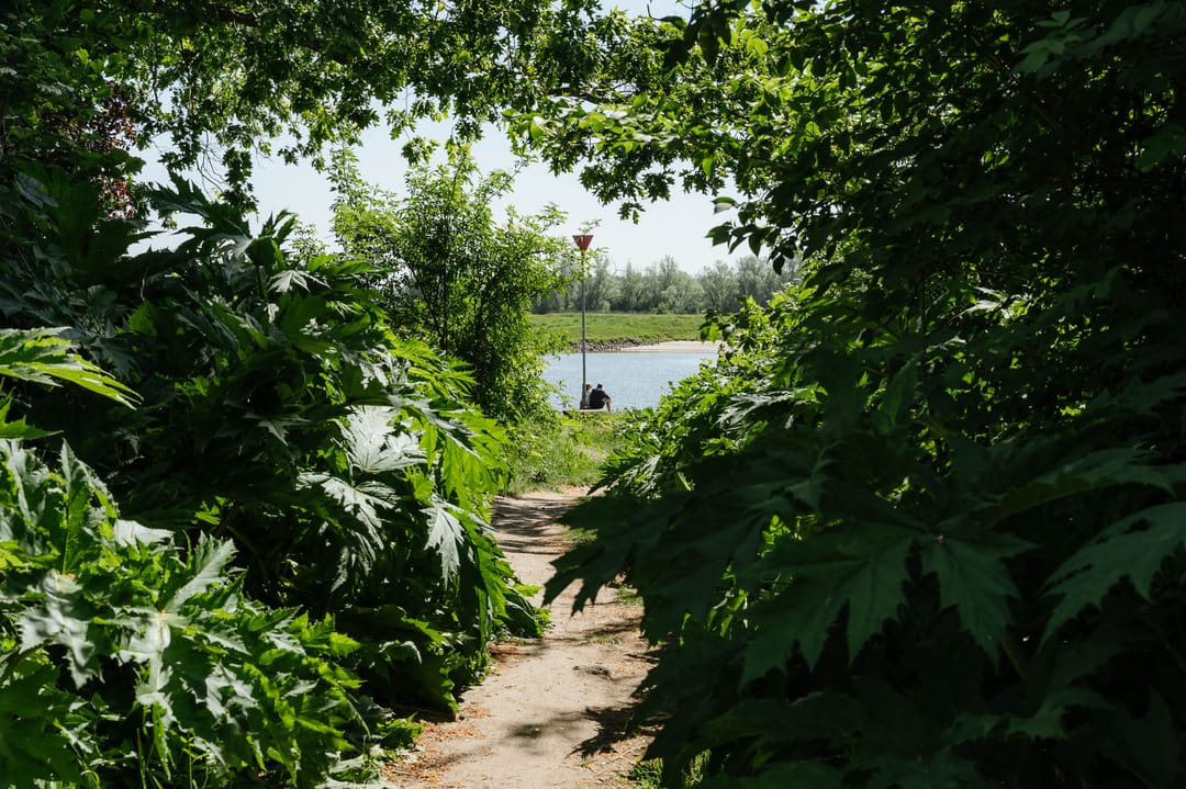 Photo 53 of Klingelbeek 14
