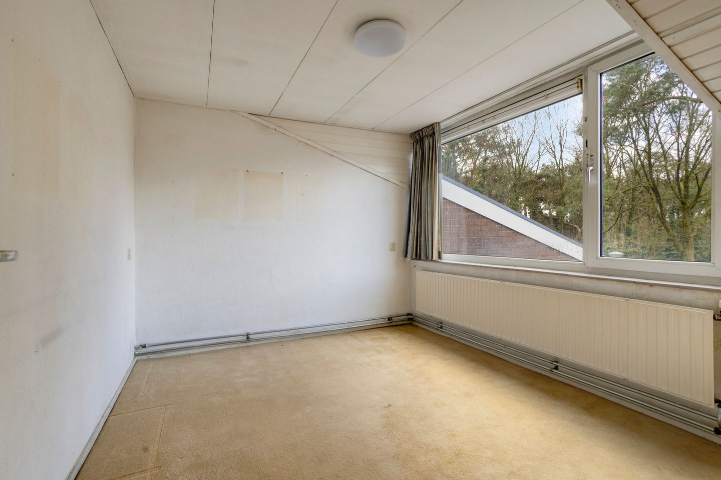 Foto 14 van Apollo 82