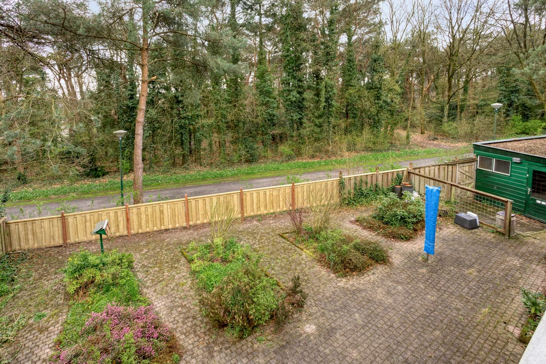 Foto 17 van Apollo 82