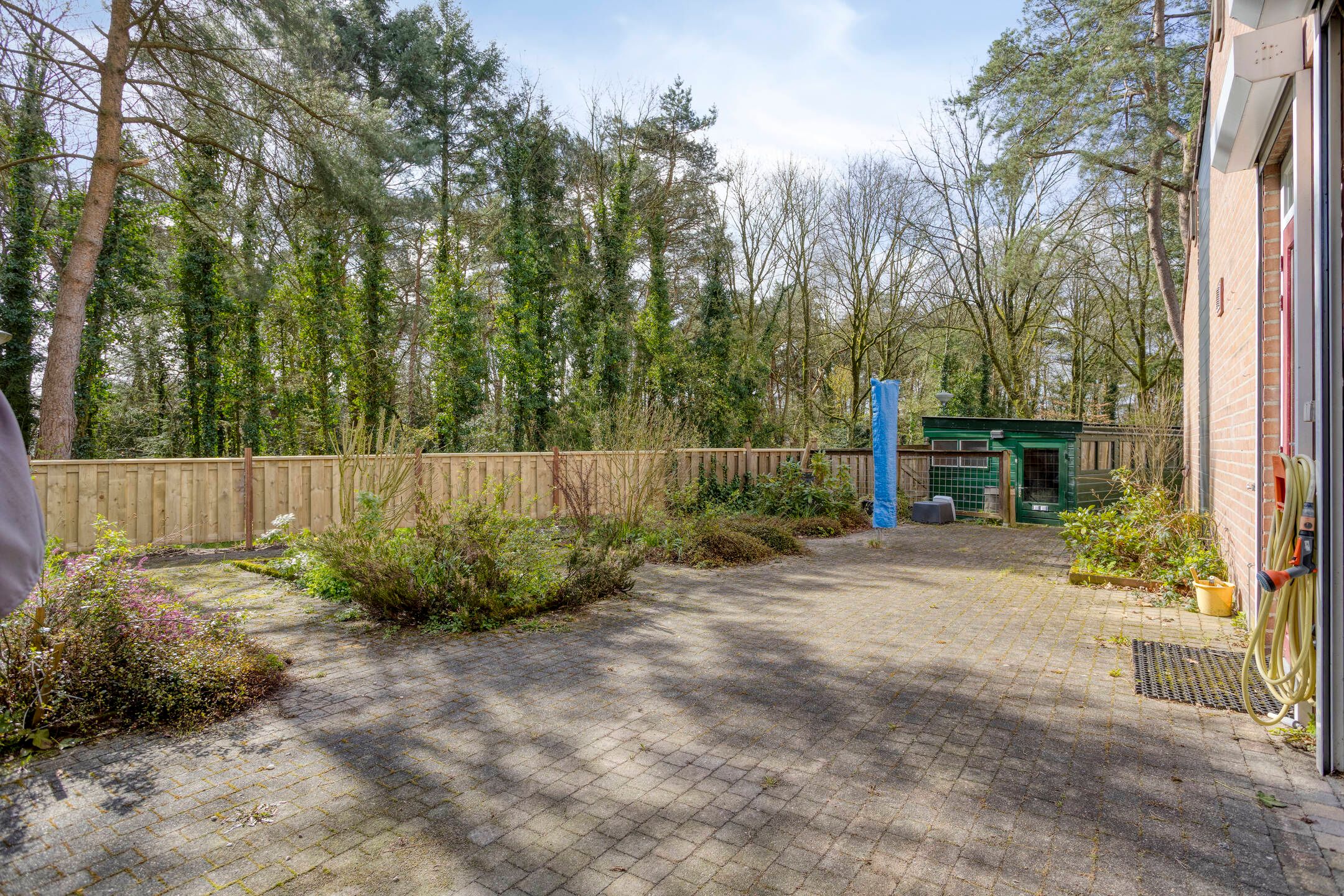 Foto 18 van Apollo 82