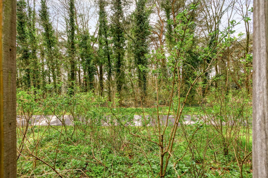 Foto 22 van Apollo 82