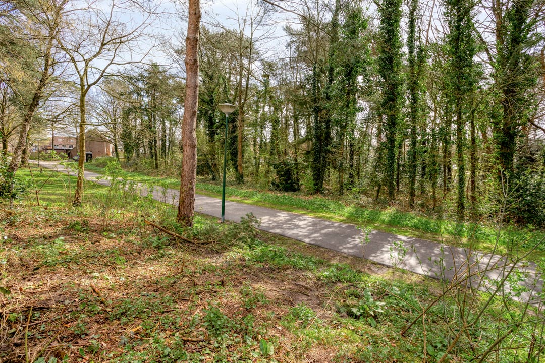 Foto 23 van Apollo 82