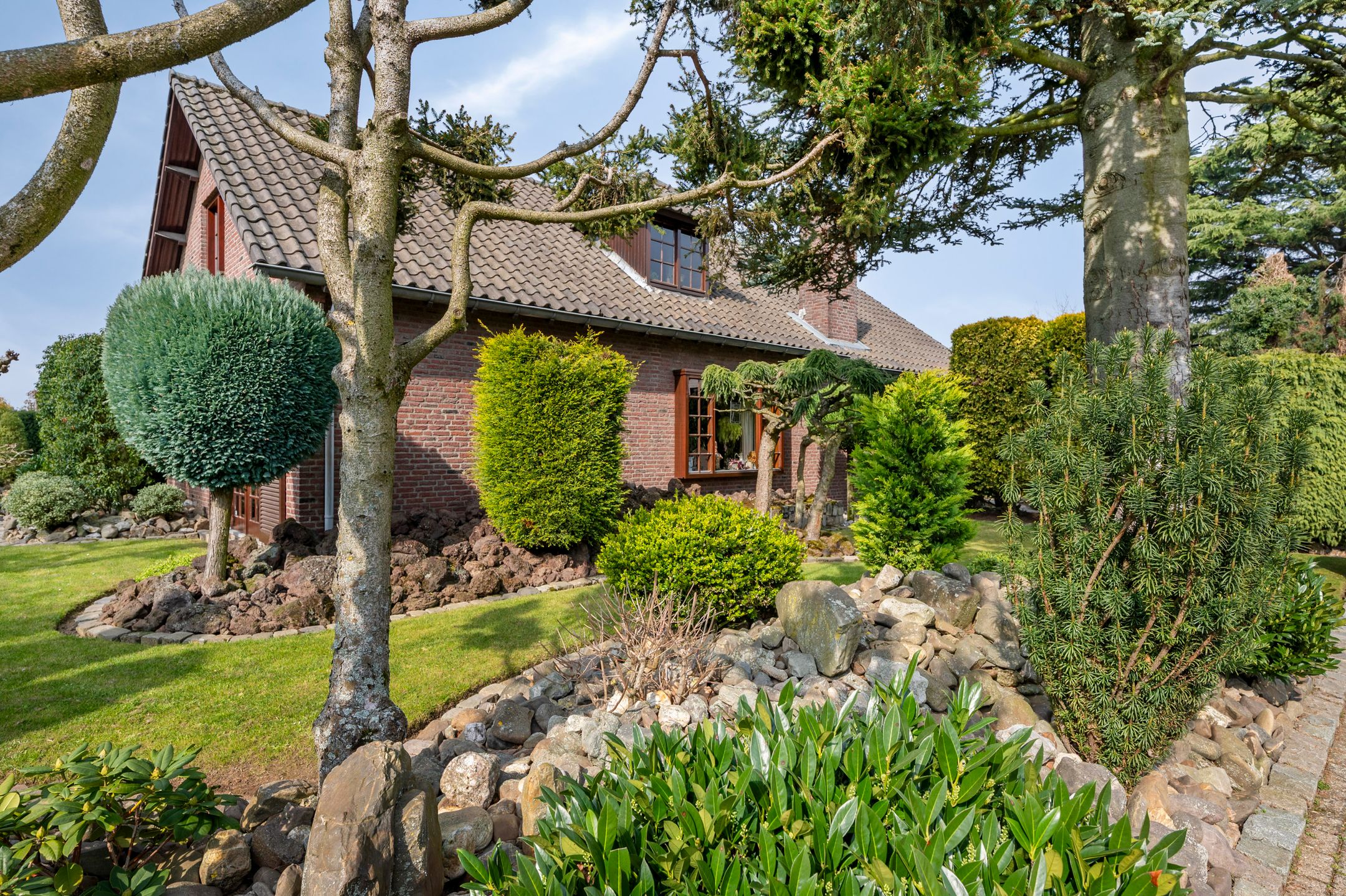 Foto 9 van Dross vd Weijdenplein 4