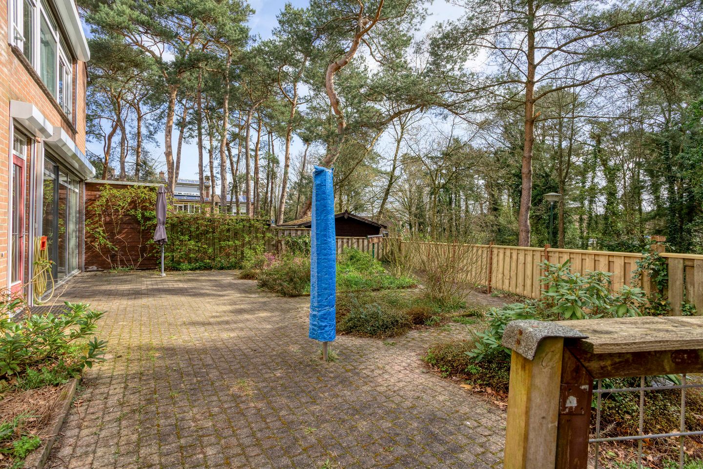 Foto 19 van Apollo 82