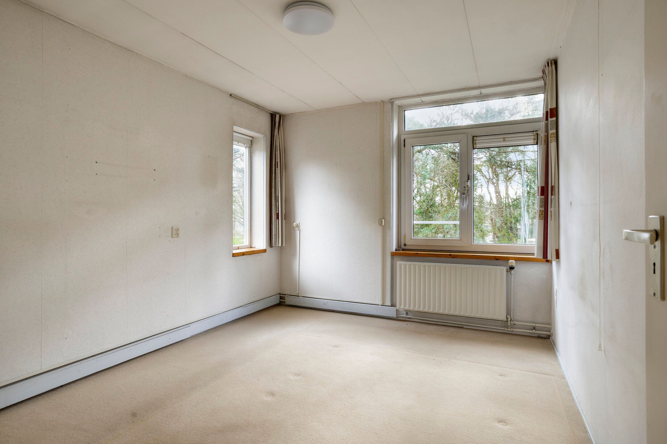 Foto 12 van Apollo 82