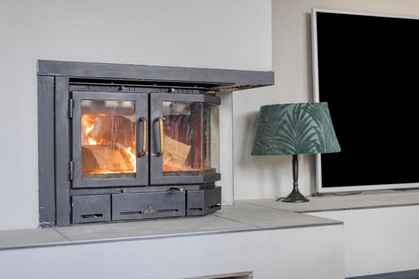 Foto 5 van de Karekiet 9