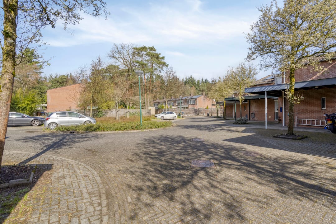 Foto 26 van Apollo 82