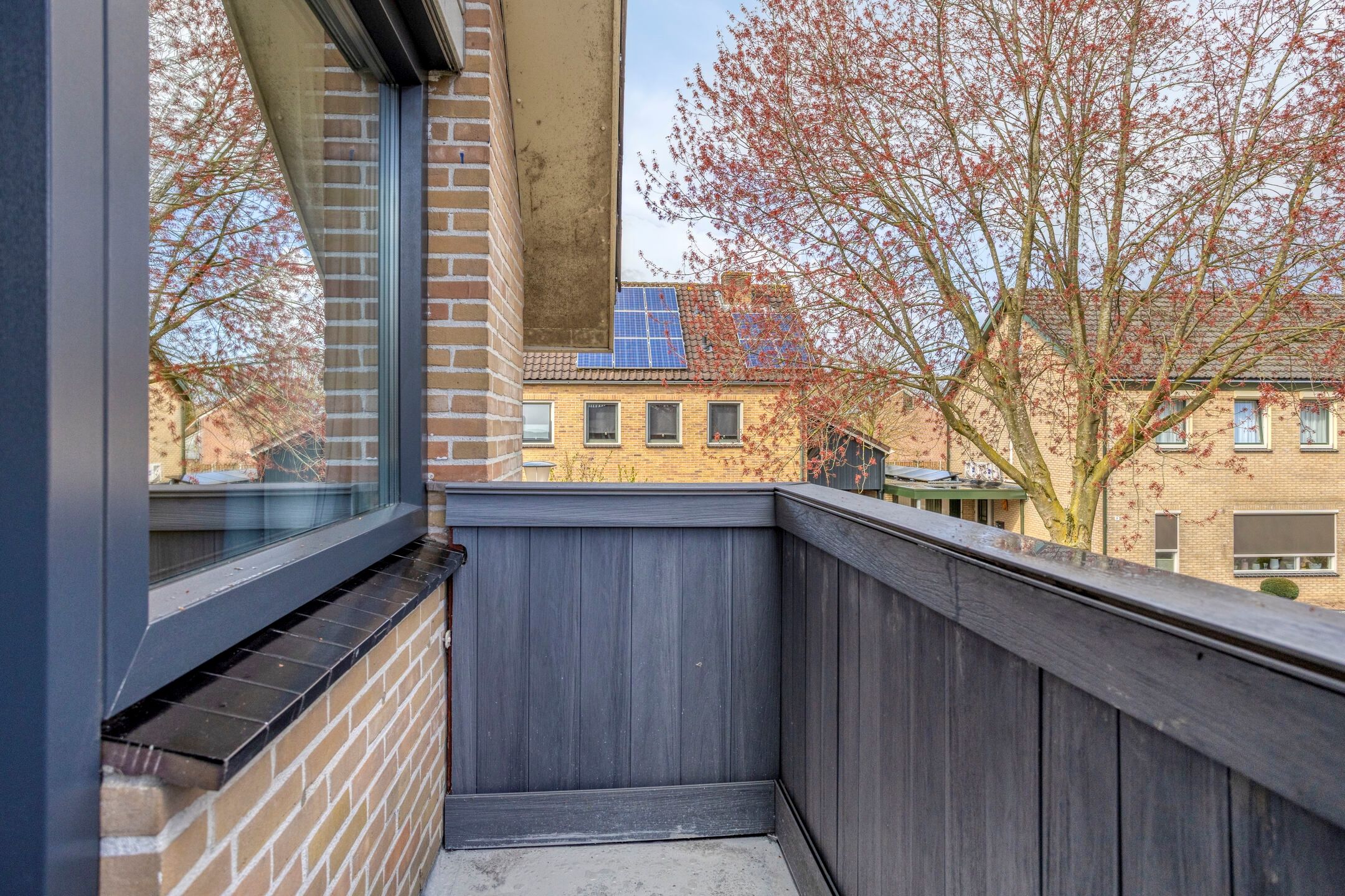 Foto 21 van de Karekiet 9