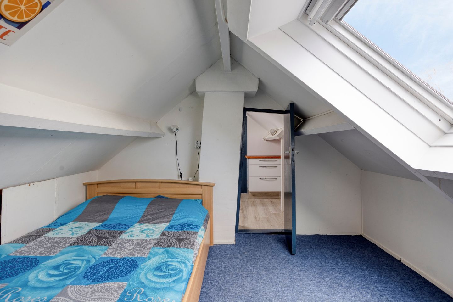 Foto 35 van de Karekiet 9