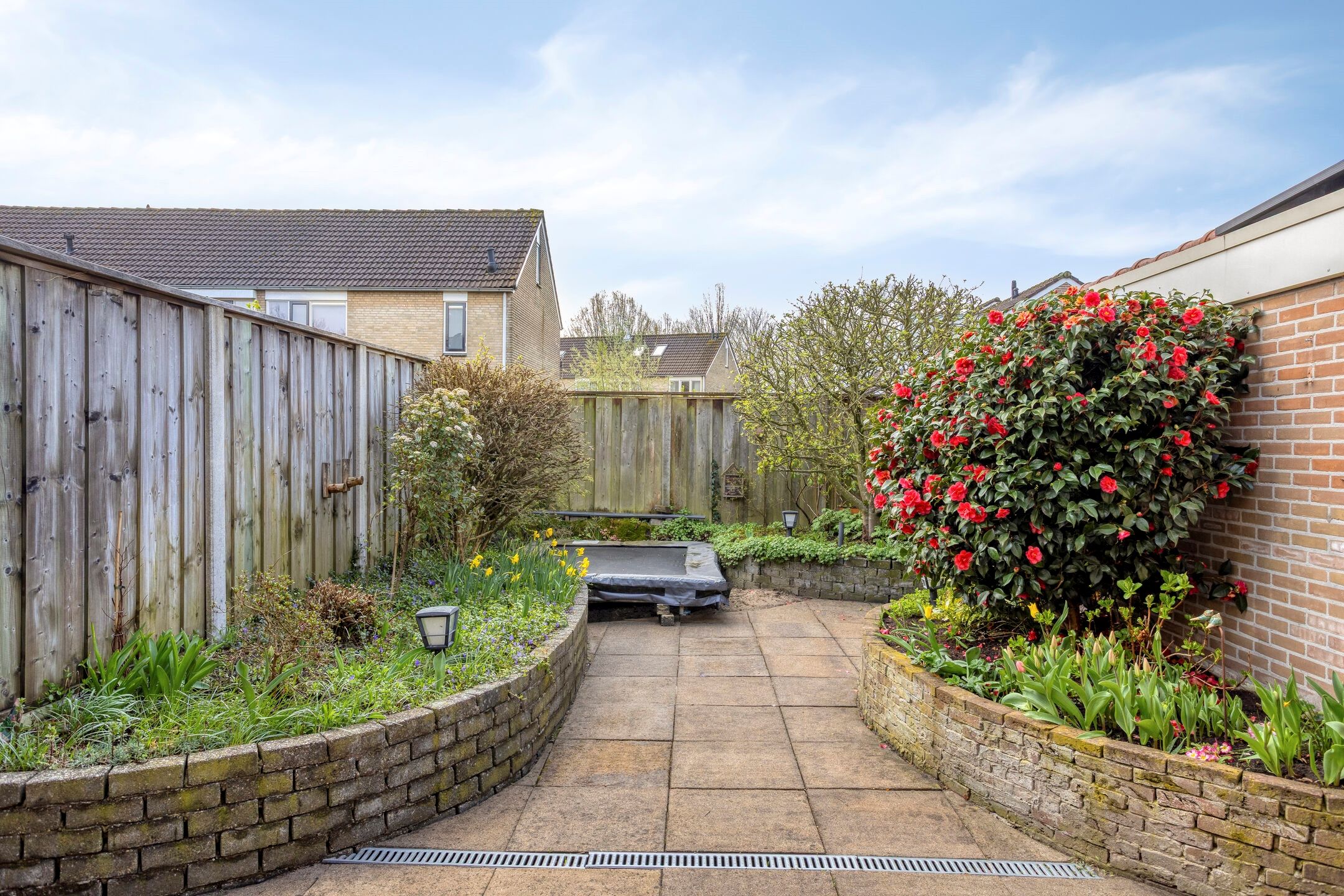 Foto 36 van de Karekiet 9