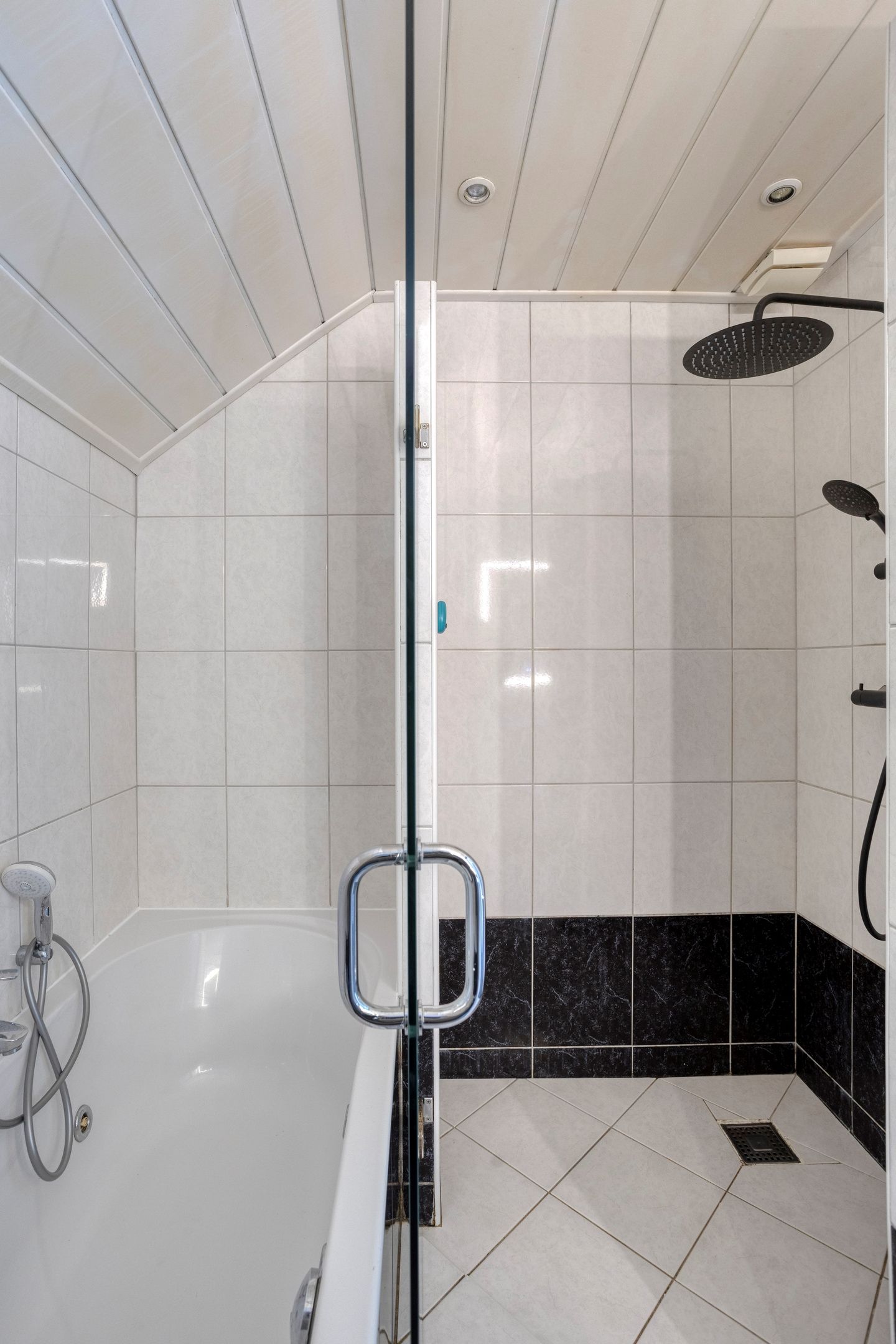 Foto 29 van de Karekiet 9