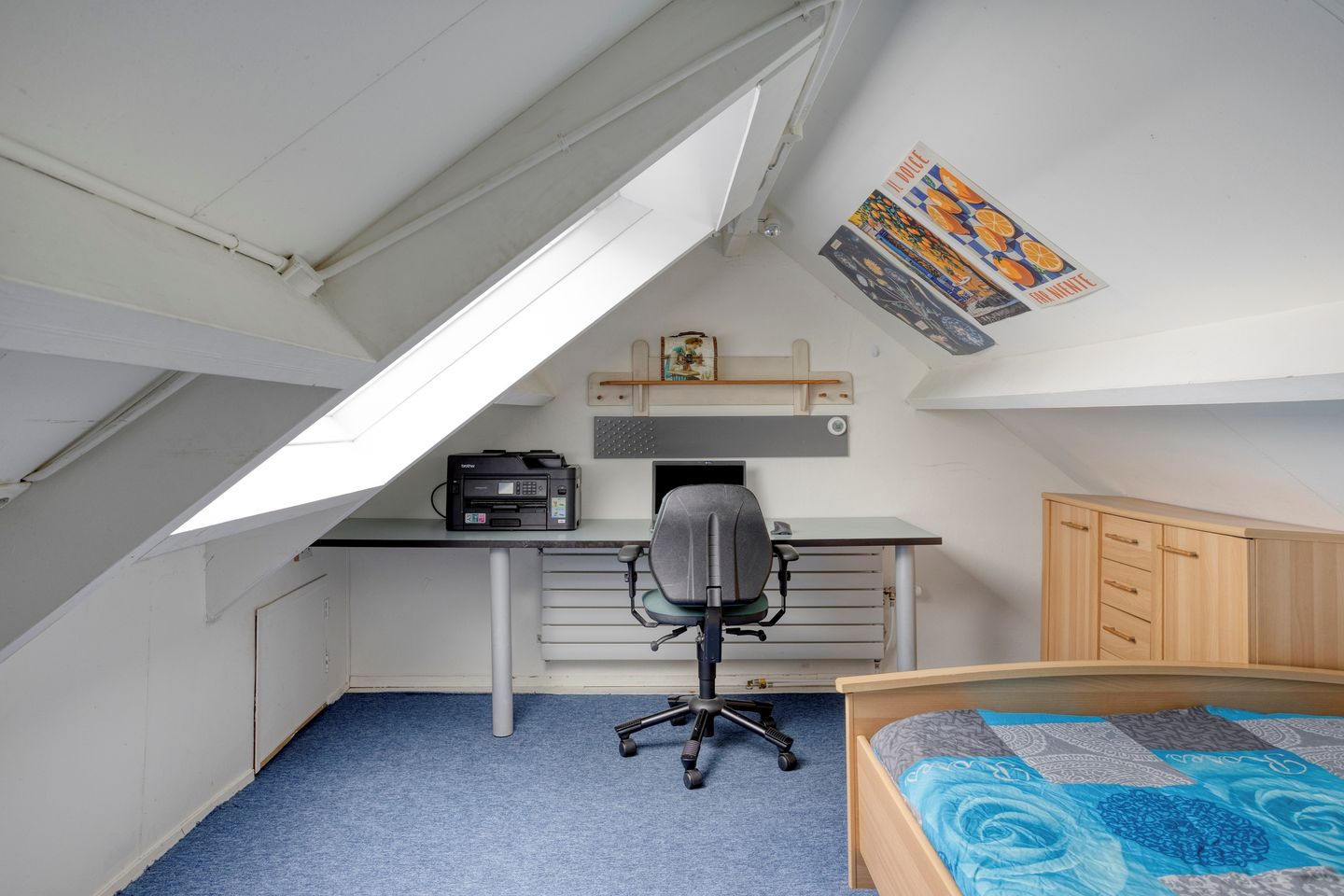 Foto 34 van de Karekiet 9