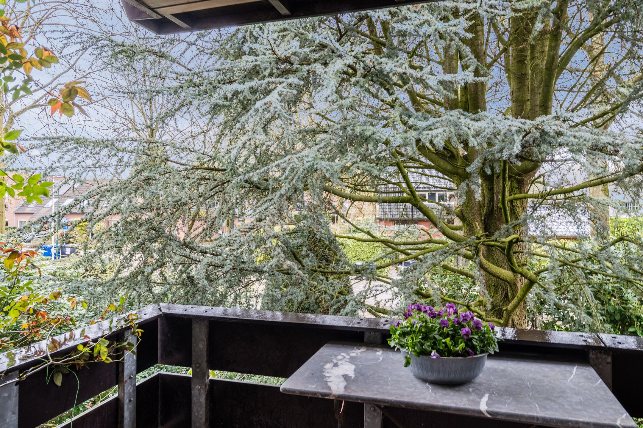 Foto 30 van Dennenlaan 55